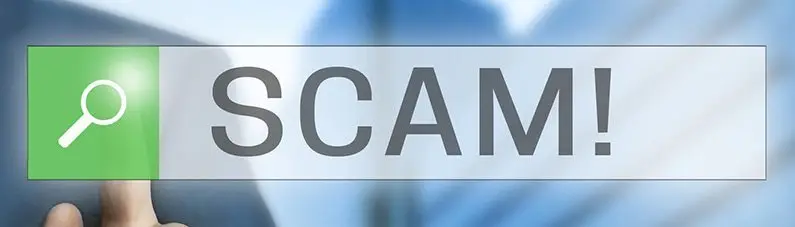 Domain SEO Service Scam