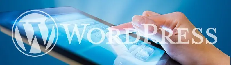 Wordpress Website Design in Sheffield